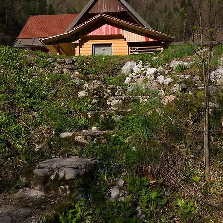 Glamping House Marusa * Bistrica ob Sotli